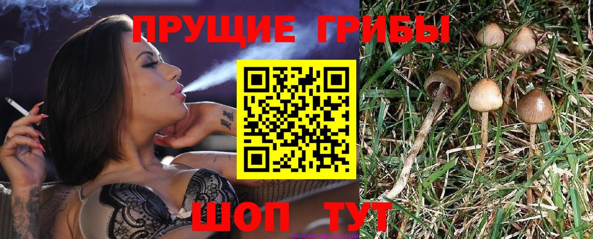 Псилоцибиновые грибы ЛСД Лянтор