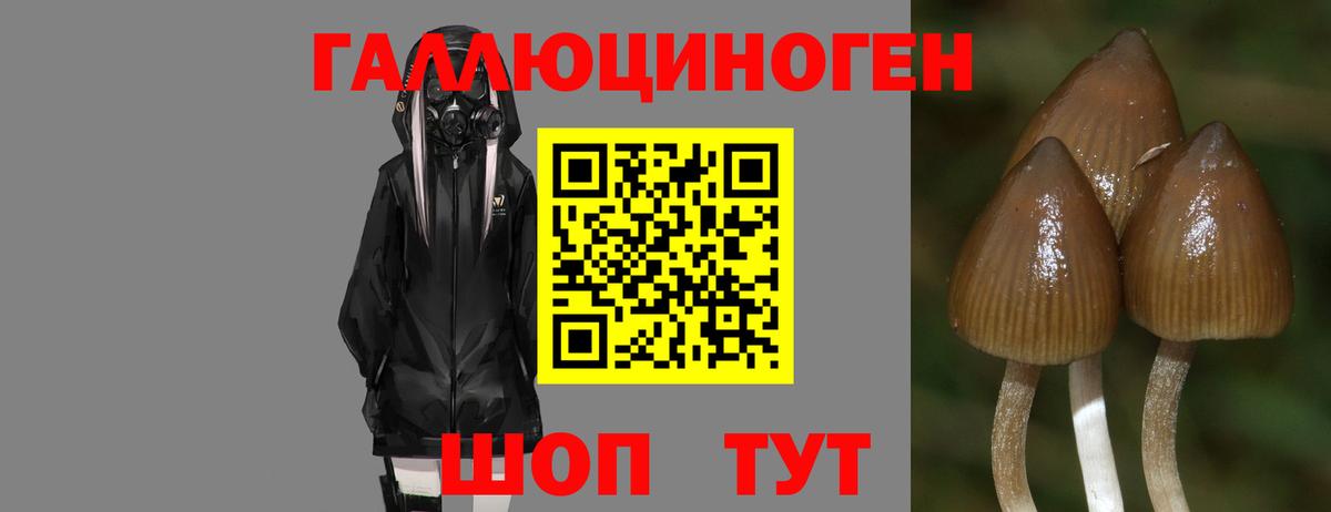 Галлюциногенные грибы мухоморы  Вход с VPN  Лянтор 
